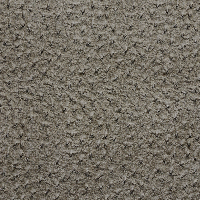 Charlotte Pewter Fabric Sample 7273