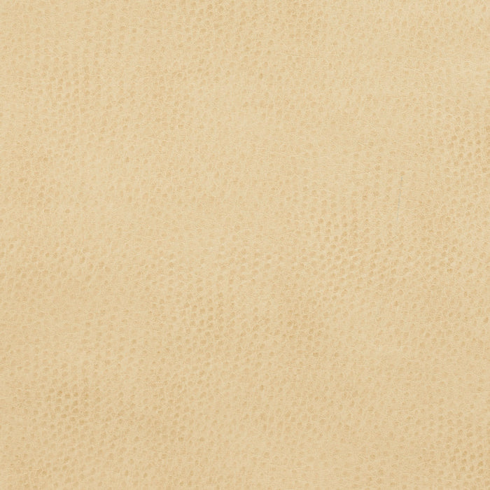 Charlotte Parchment Fabric Sample 7277