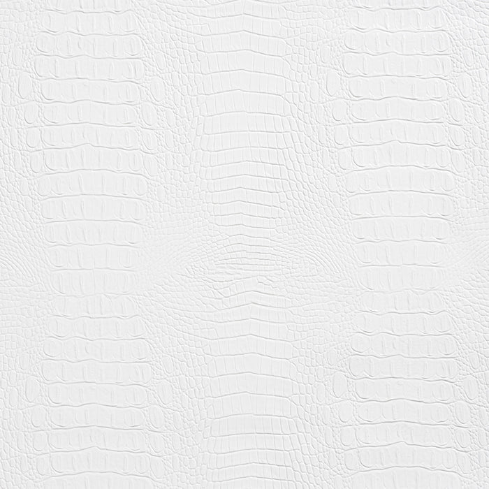 Charlotte White Fabric Sample 7278