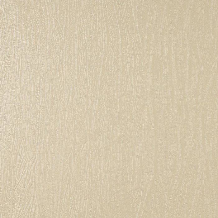 Charlotte Vanilla Fabric Sample 7378