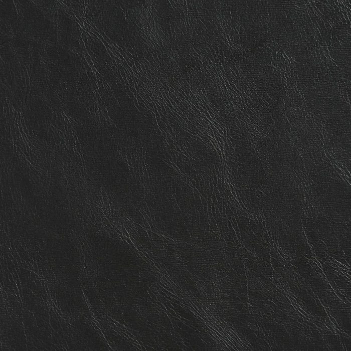 Charlotte Black Fabric Sample 7400