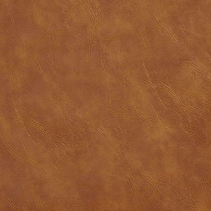 Charlotte Pecan Fabric Sample 7401
