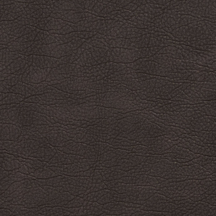 Charlotte Espresso Fabric Sample 7410