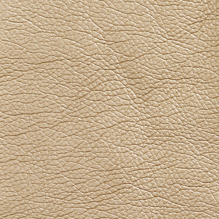 Charlotte Gold Fabric Sample 7424
