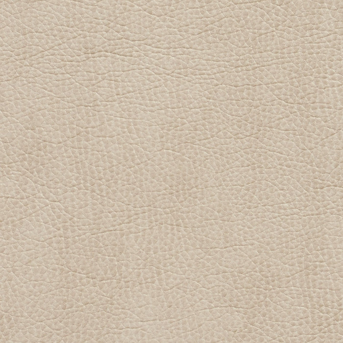 Charlotte Bone Fabric Sample 7426