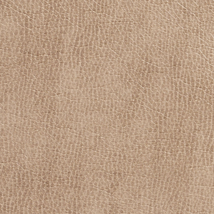 Charlotte Birch Fabric Sample 7432