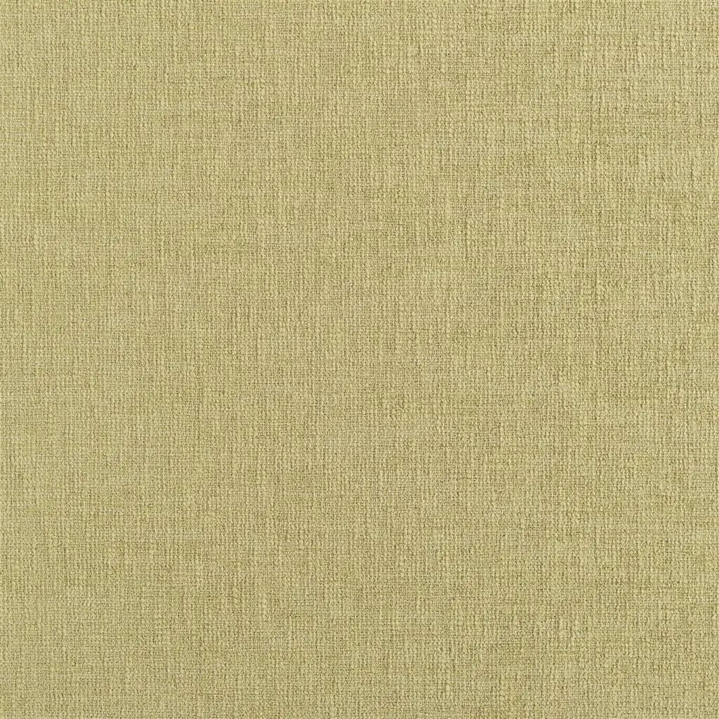 Designers Guild Kalutara 12 Fabric FDG2581-12
