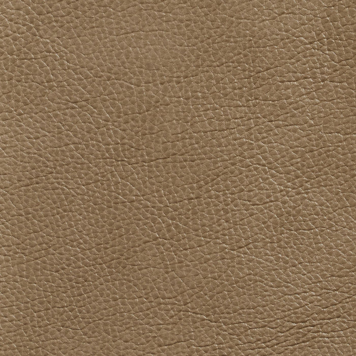 Charlotte Dune Fabric Sample 7437