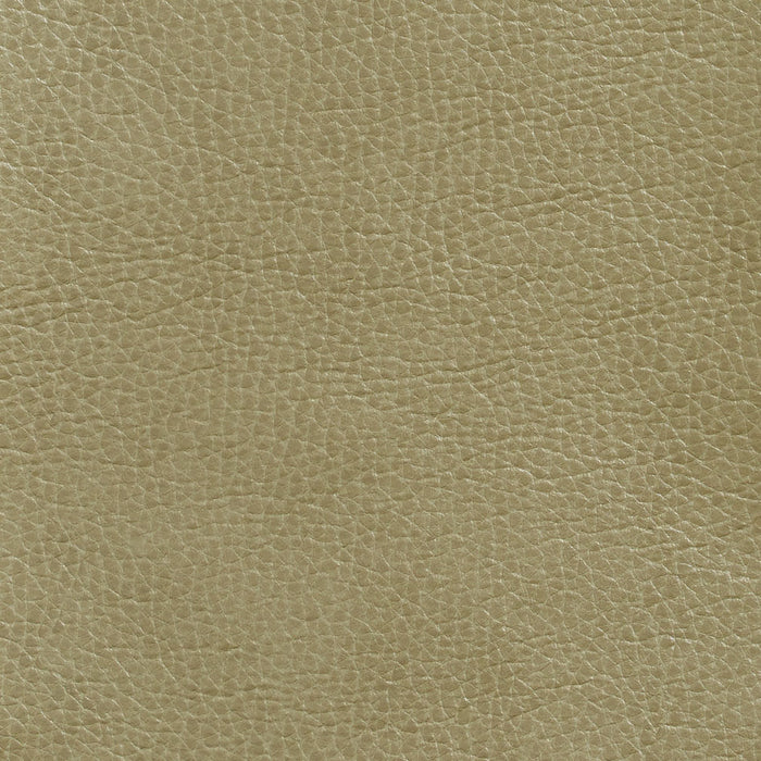 Charlotte Moss Fabric Sample 7439