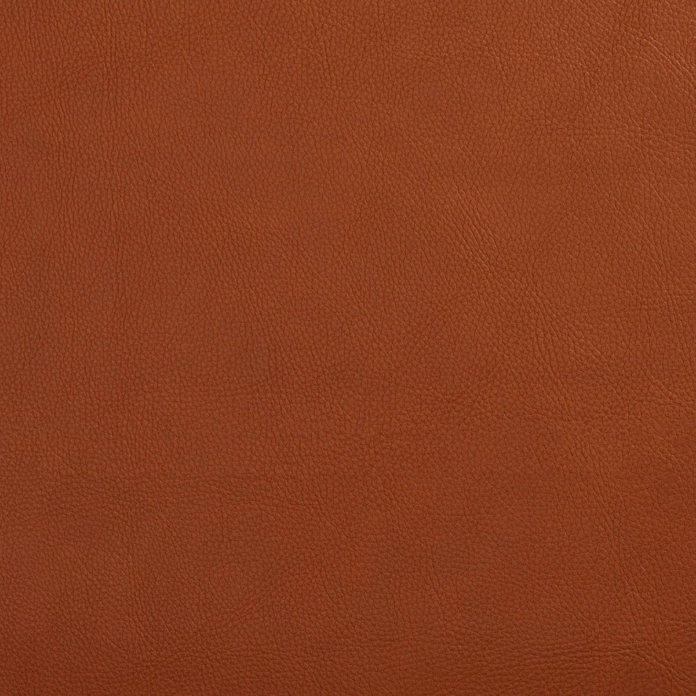 Charlotte Palomino Fabric 7443