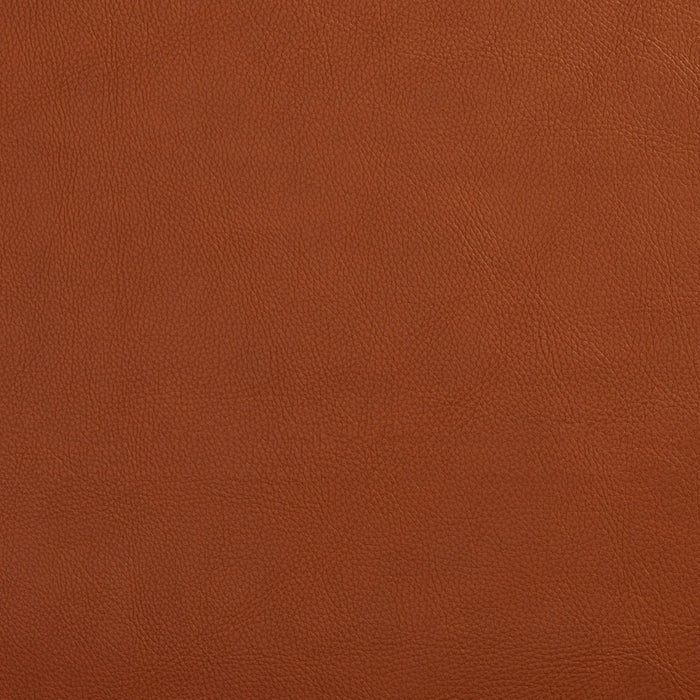 Charlotte Palomino Fabric Sample 7443