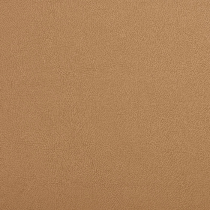 Charlotte Sand Fabric Sample 7444