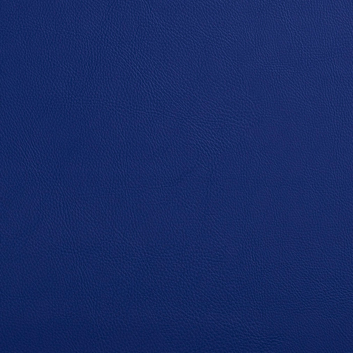 Charlotte Royal Fabric Sample 7445