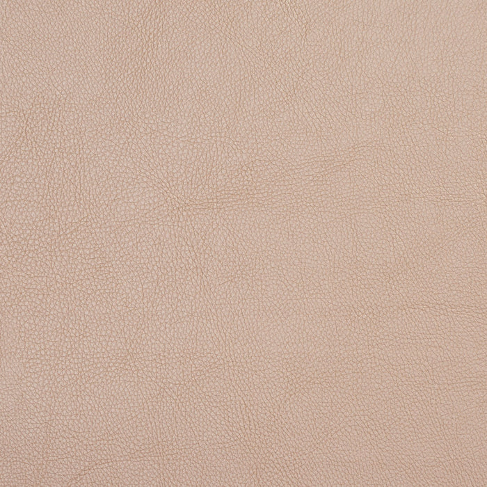 Charlotte Champagne Fabric Sample 7451