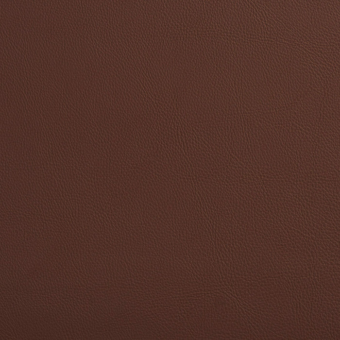 Charlotte Rawhide Fabric Sample 7454