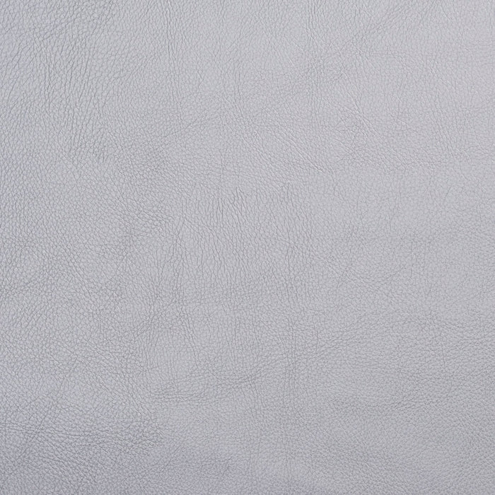Charlotte Silver Fabric Sample 7456