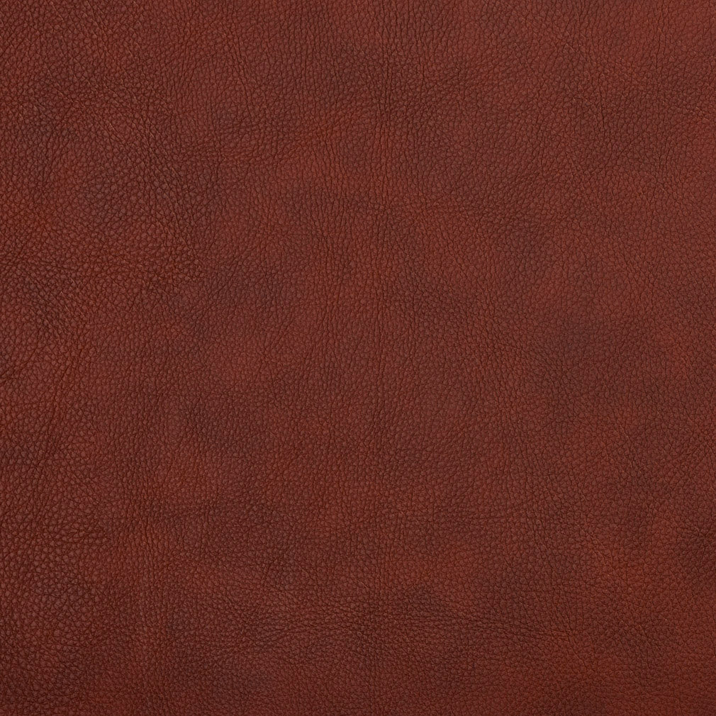 Charlotte Sable Fabric 7462