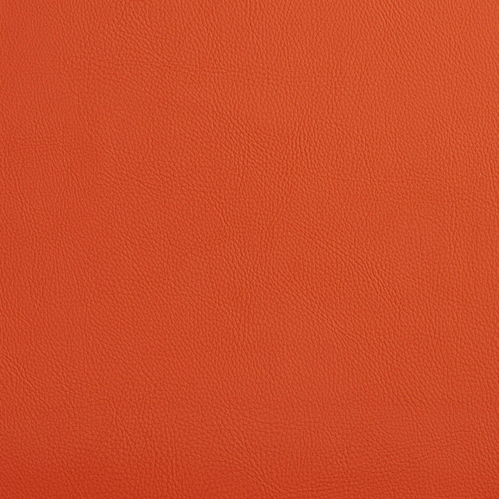 Charlotte Spice Fabric Sample 7464