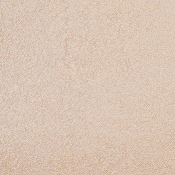 Charlotte Cornsilk Fabric Sample 7467