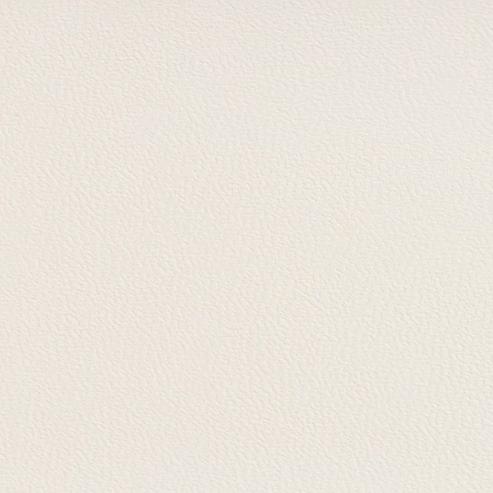 Charlotte White Fabric Sample 7590
