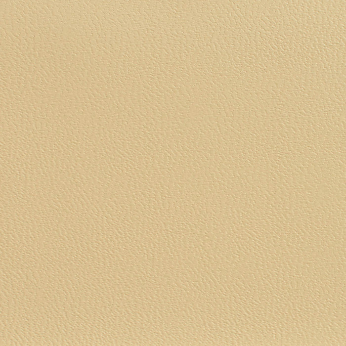 Charlotte Ecru Fabric Sample 7594
