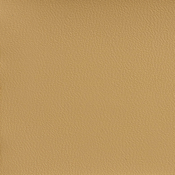 Charlotte Buckskin Fabric Sample 7597