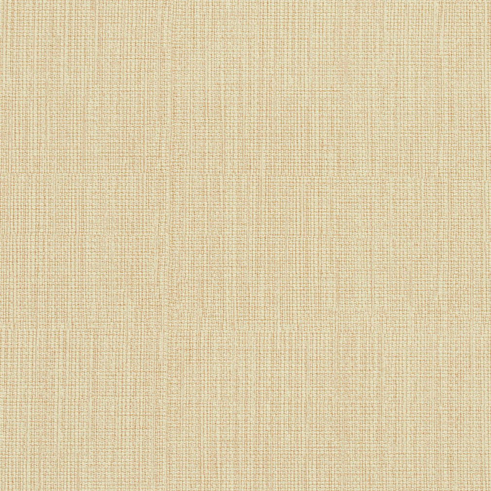 Charlotte 7602 Parchment Sample | 40% Off (Samples)