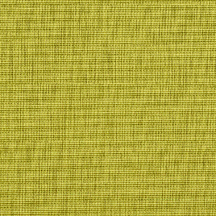 Charlotte Citrus Fabric Sample 7603