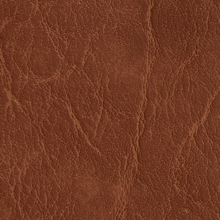 Charlotte Pecan Fabric Sample 7613
