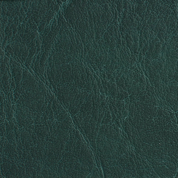 Charlotte Forest Fabric Sample 7619