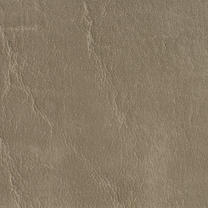 Charlotte Taupe Fabric Sample 7620