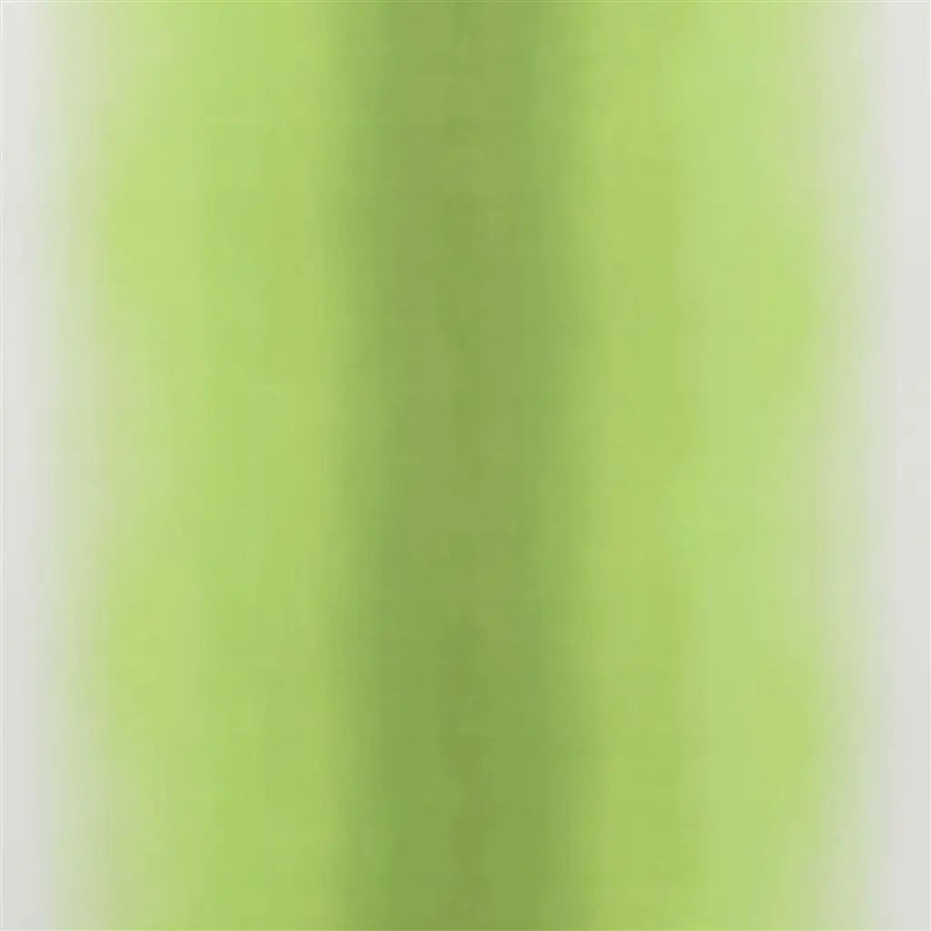 Designers Guild Padua Outdoor 3 Fabric FDG2667-03