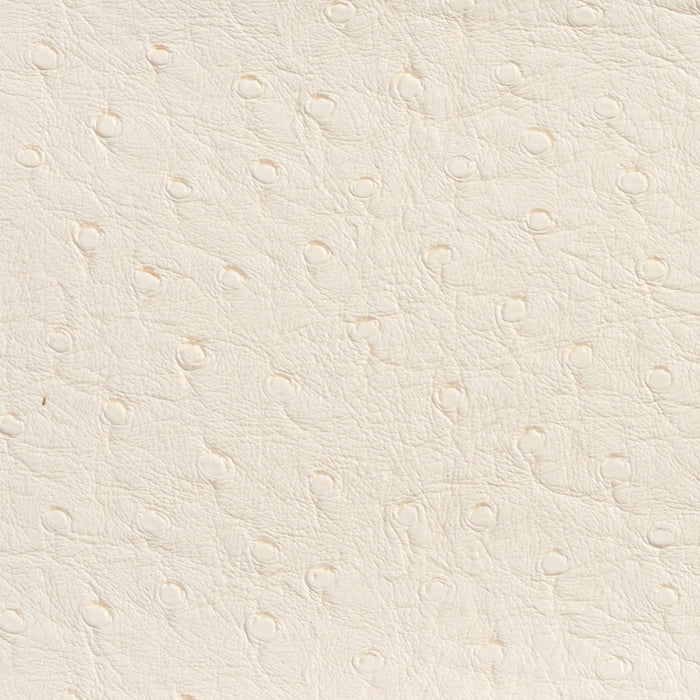 Charlotte Eggshell Fabric Sample 7704