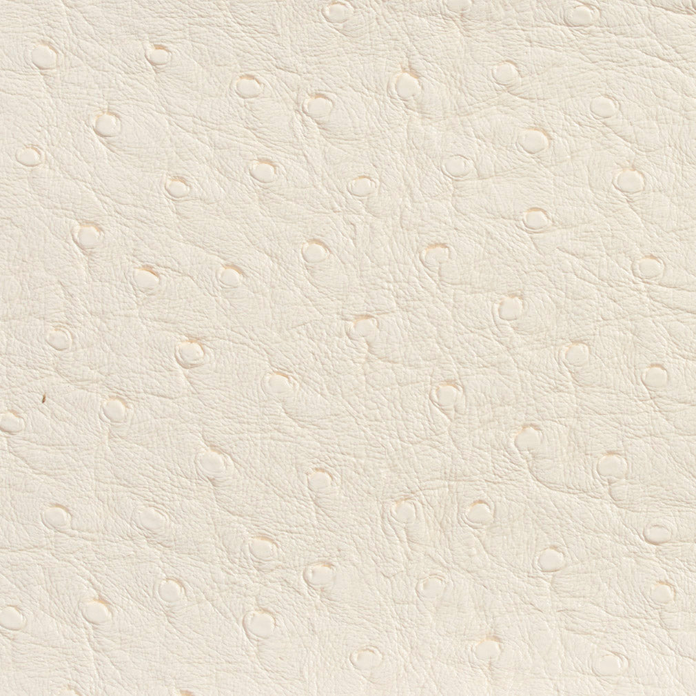 Charlotte 7704 Eggshell Fabric | 40% Off (Samples)