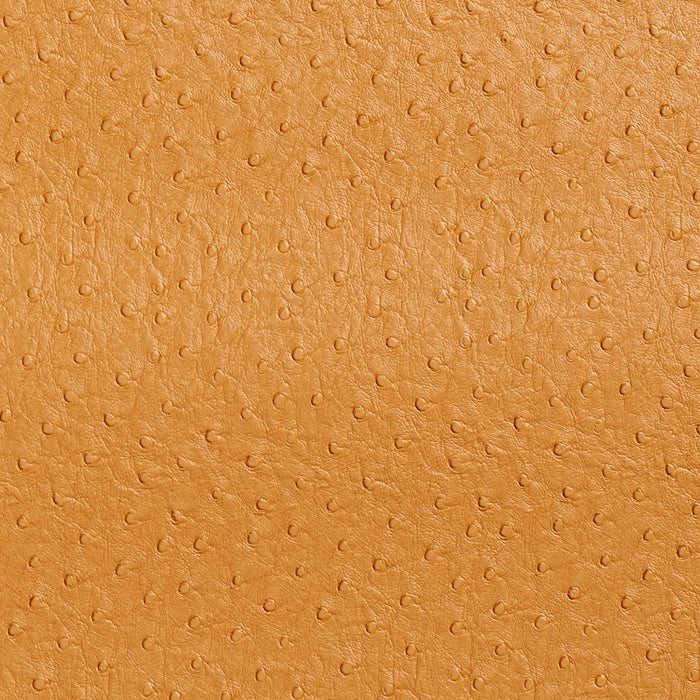 Charlotte Camel Fabric Sample 7705