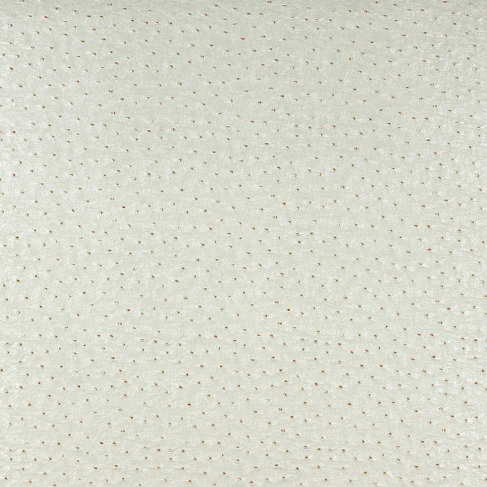 Charlotte Cream Fabric Sample 7859