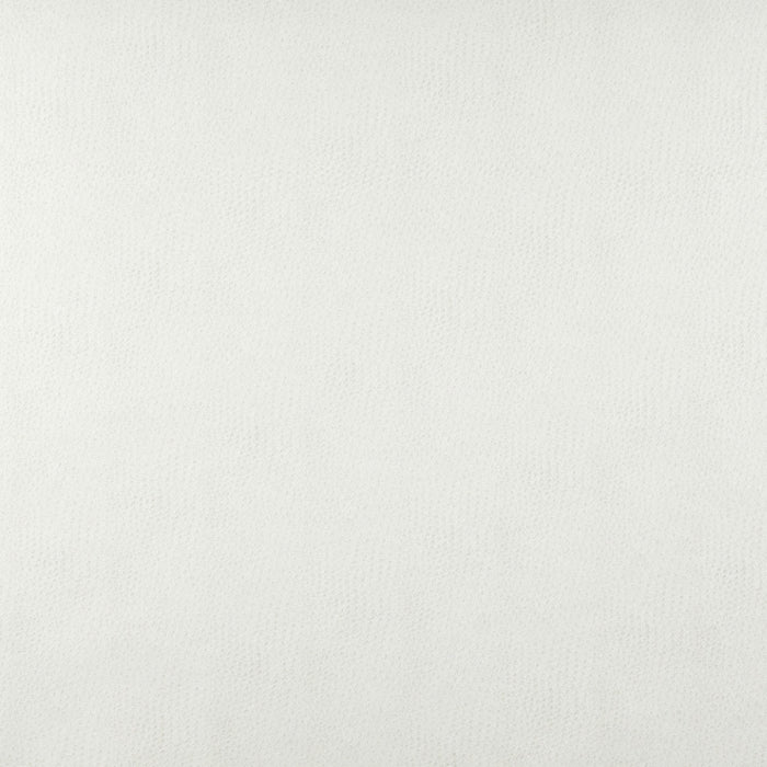 Charlotte Natural Fabric Sample 7876