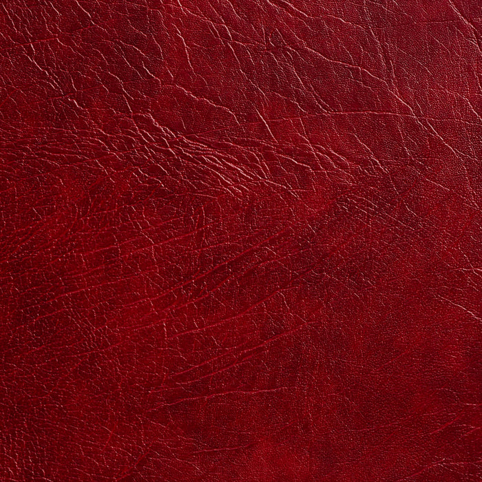 Charlotte Maroon Fabric Sample 7911