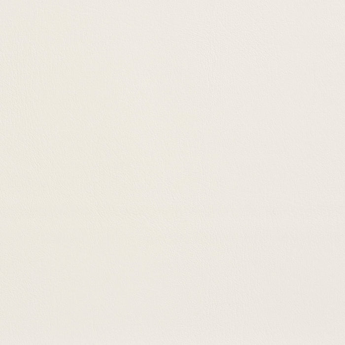 Charlotte White Fabric Sample 7925