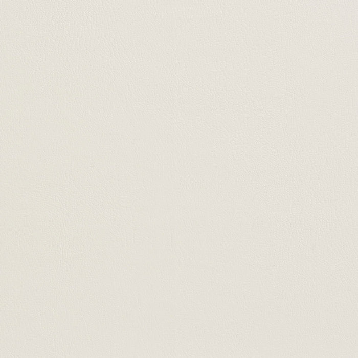 Charlotte Natural Fabric Sample 7929