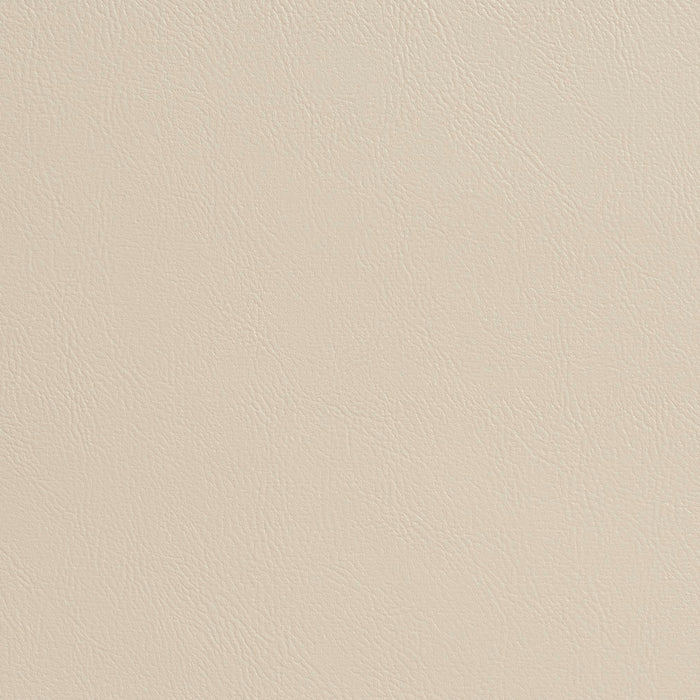 Charlotte Off White Fabric Sample 7945