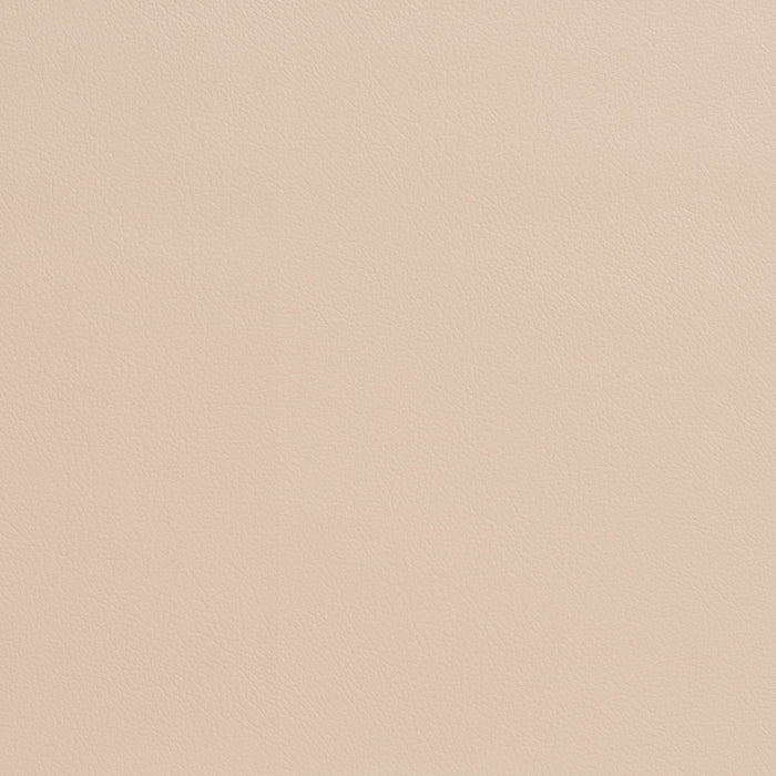 Charlotte Parchment Fabric Sample 7947