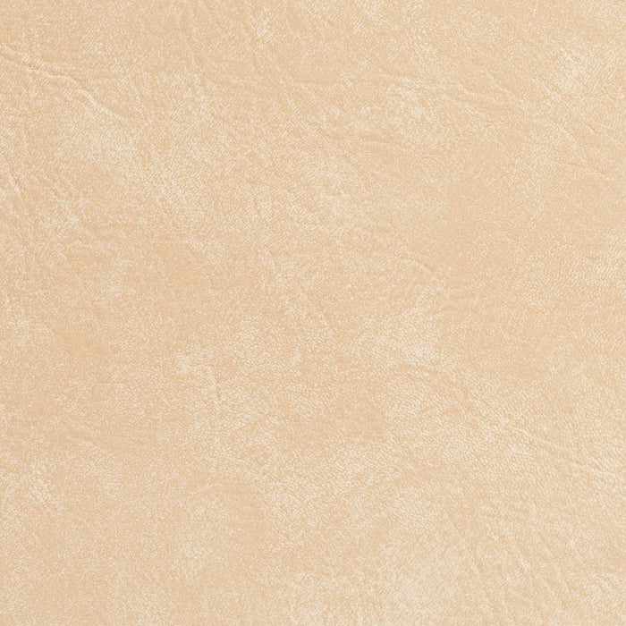 Charlotte Seashell Fabric Sample 7949