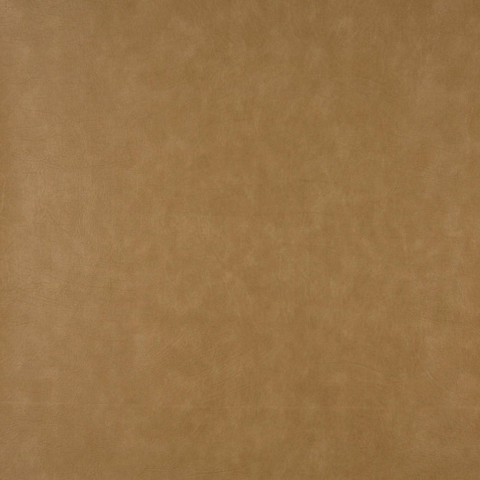 Charlotte Rawhide Fabric Sample 7957