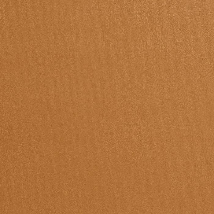 Charlotte Buckskin Fabric Sample 7969
