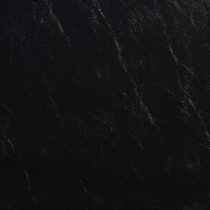 Charlotte Black Fabric Sample 7974