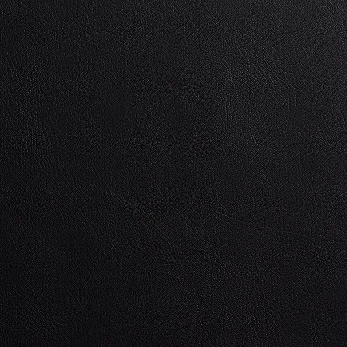 Charlotte Black Fabric Sample 7978