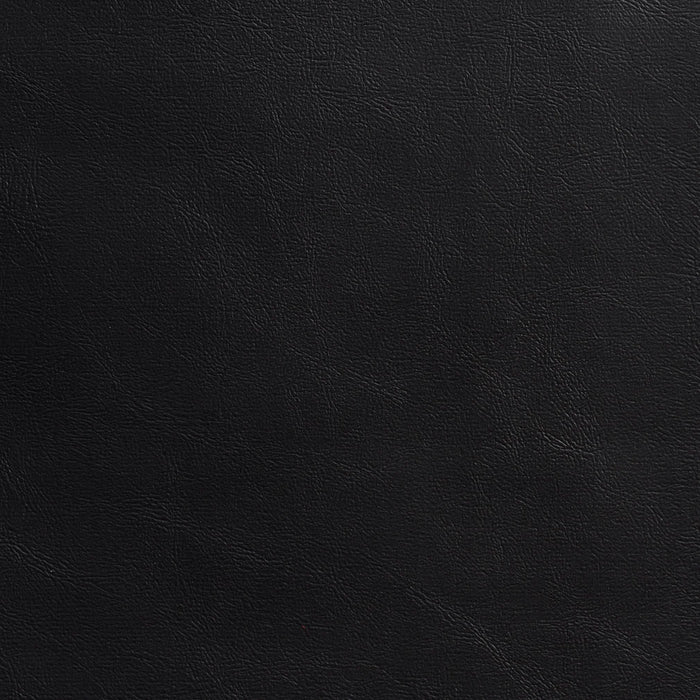 Charlotte Black Fabric Sample 7984