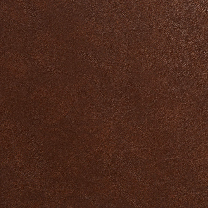 Charlotte Chocolate Fabric Sample 7987
