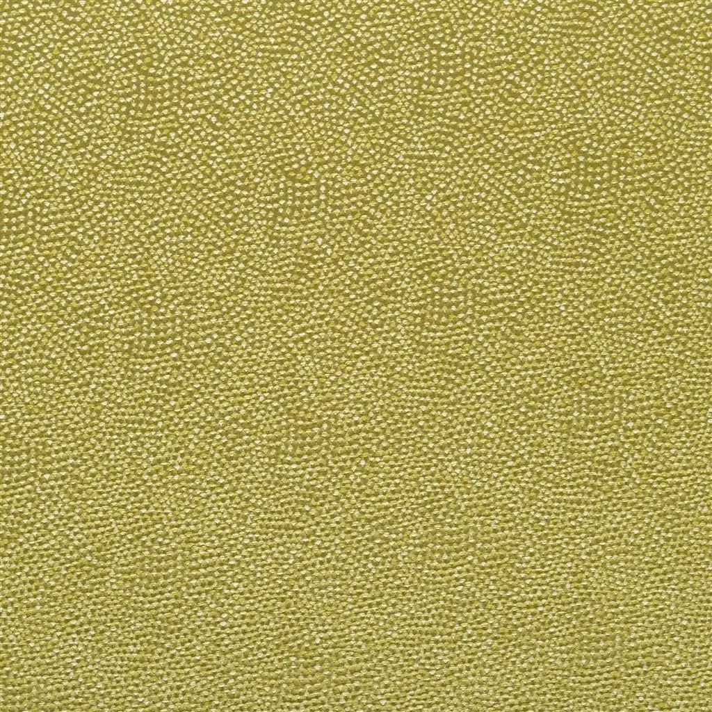 Designers Guild Sesia 11 Fabric FDG2747-11